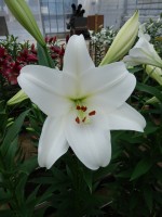 [5600 VH30 No02.JPG]